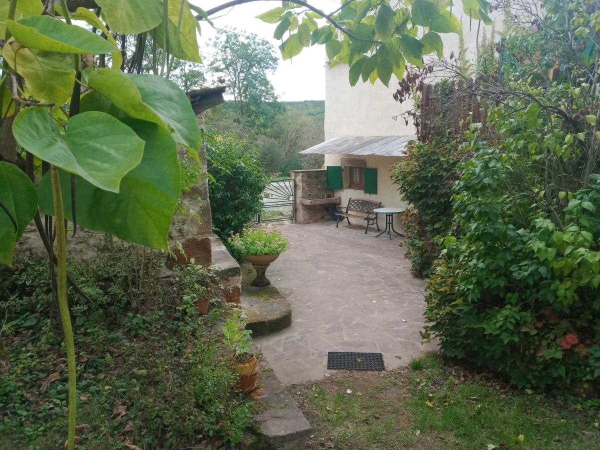Maison Avec Jardin Entre Cordes/Ciel Et Monesties Salles  Exterior photo